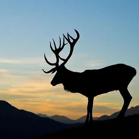 Haus Treffer Kirchdorf in Tirol
