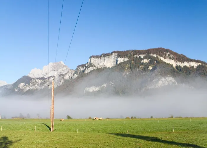 招待所 Haus Treffer