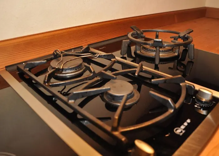 Haus Treffer 招待所 4*