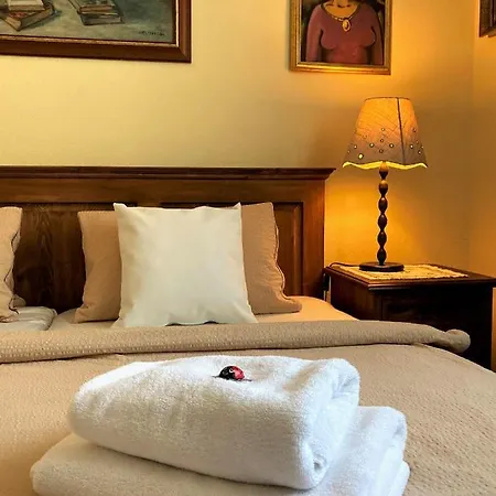 Haus Treffer Guest house