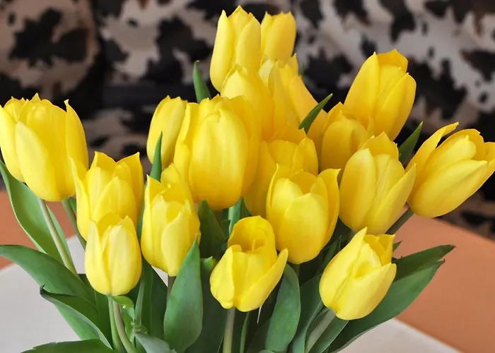 Haus Treffer Kirchdorf in Tirol