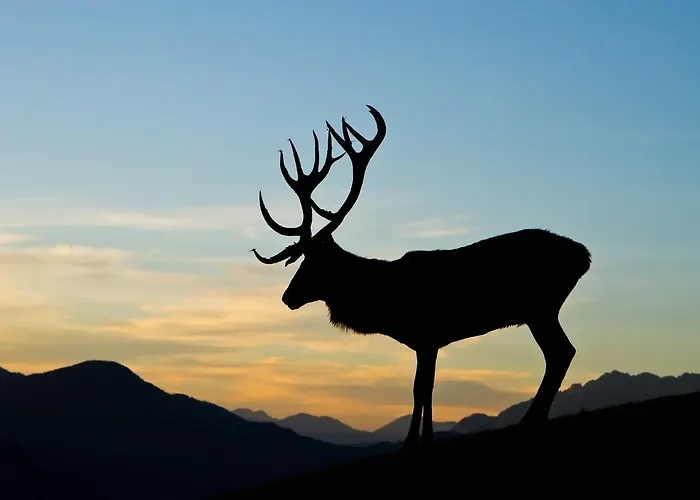 Haus Treffer Kirchdorf in Tirol